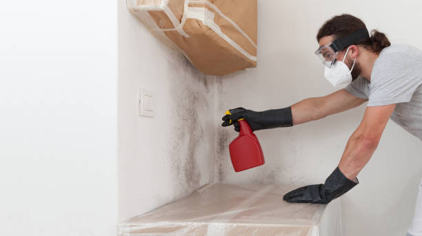 Professional Black Mold Removal technician working in Barco, NC