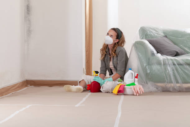 Reliable Black Mold Removal contractor in Barco, NC by WQB Mold Removal